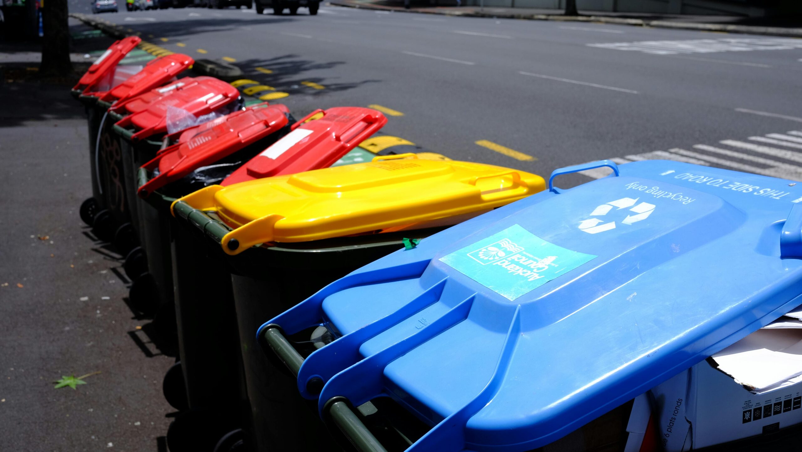 Colorful recycling bins lined up on a sunny street in Auckland, New Zealand.